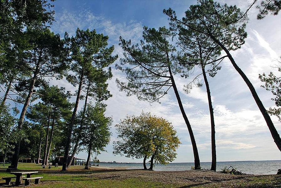 Camping Bel Air Village le Lac de Cazaux Camping Bel Air Village le Lac de Cazaux