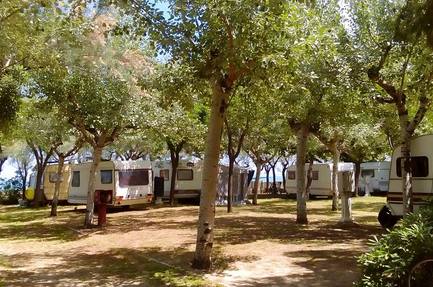 Camping International Torre Cerrano