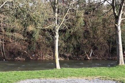 Camping International