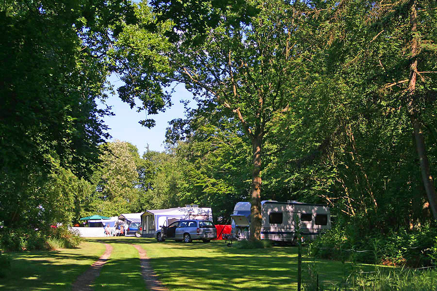 Darum Camping - Image 1