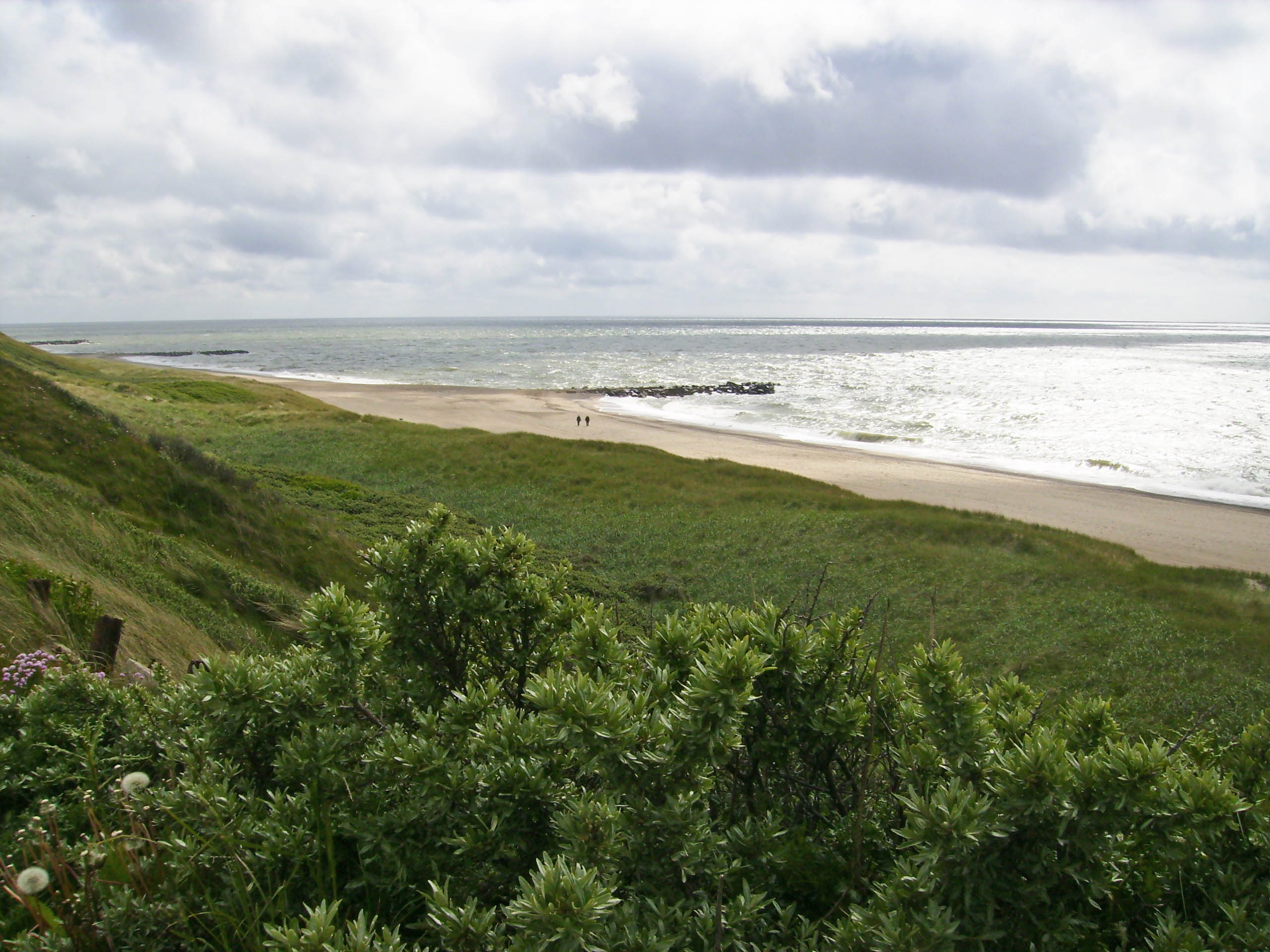 Bovbjerg Camping Bovbjerg Camping
