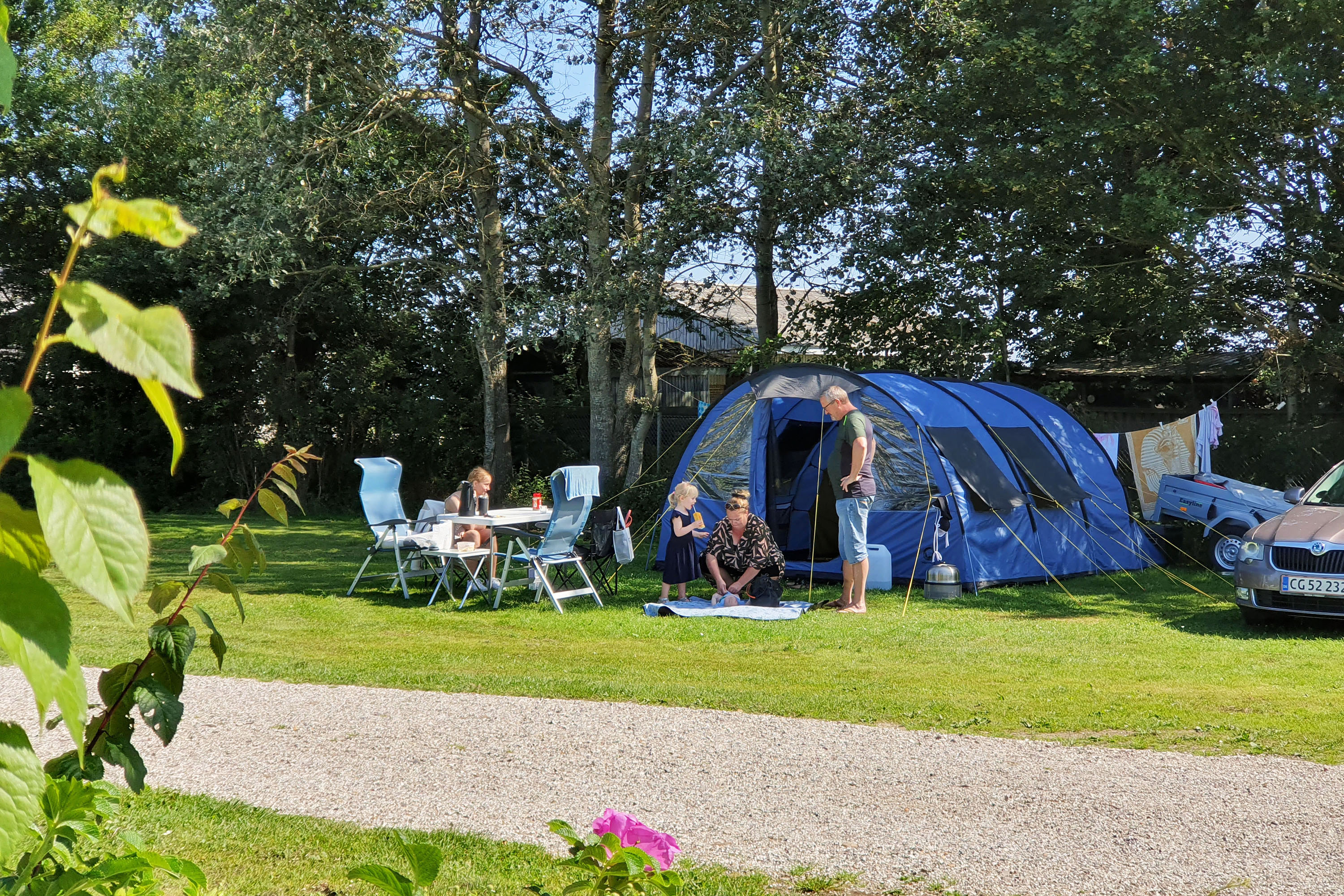First Camp Ajstrup Strand First Camp Ajstrup Strand