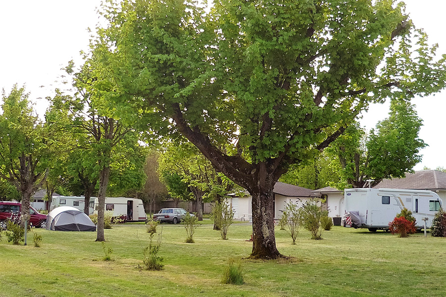 Camping La Gâtine Onlycamp - Image 1 Camping La Gâtine Onlycamp - Image 1