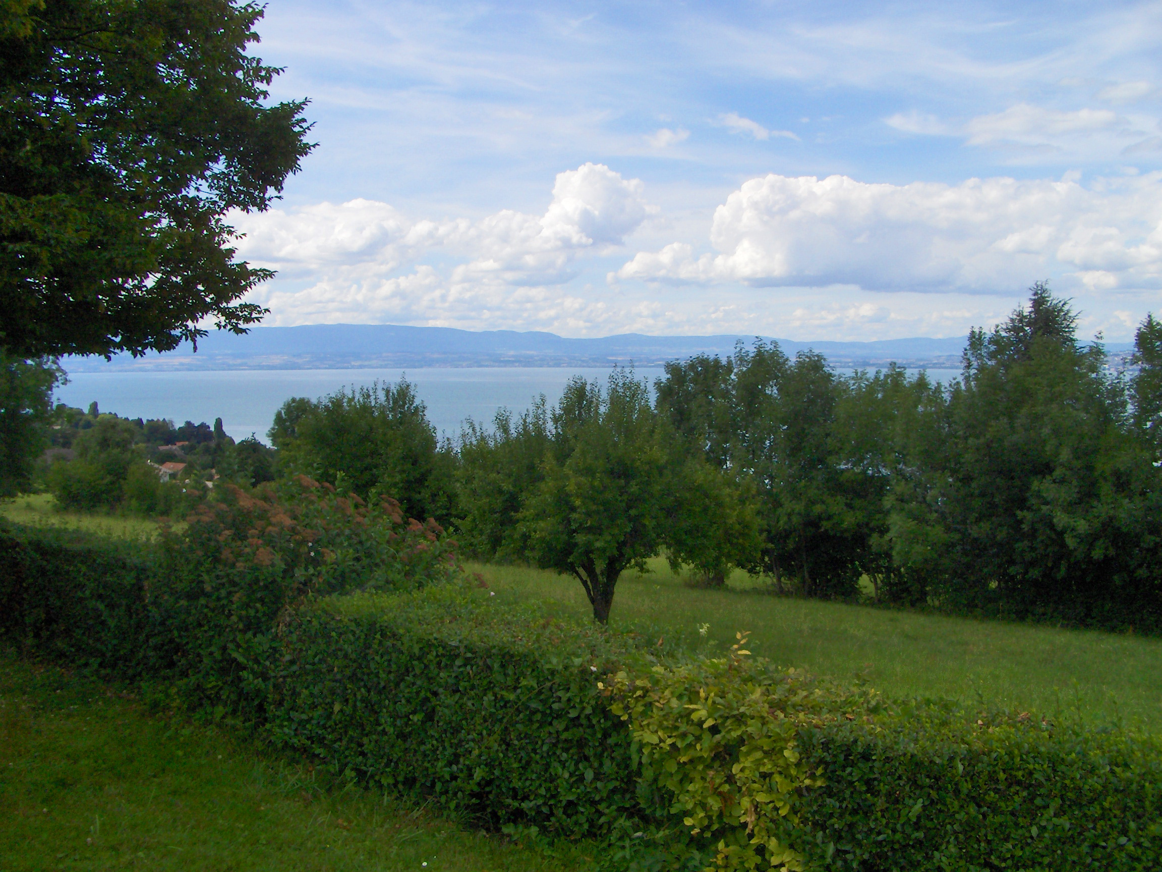 Camping Les Myosotis Camping Les Myosotis