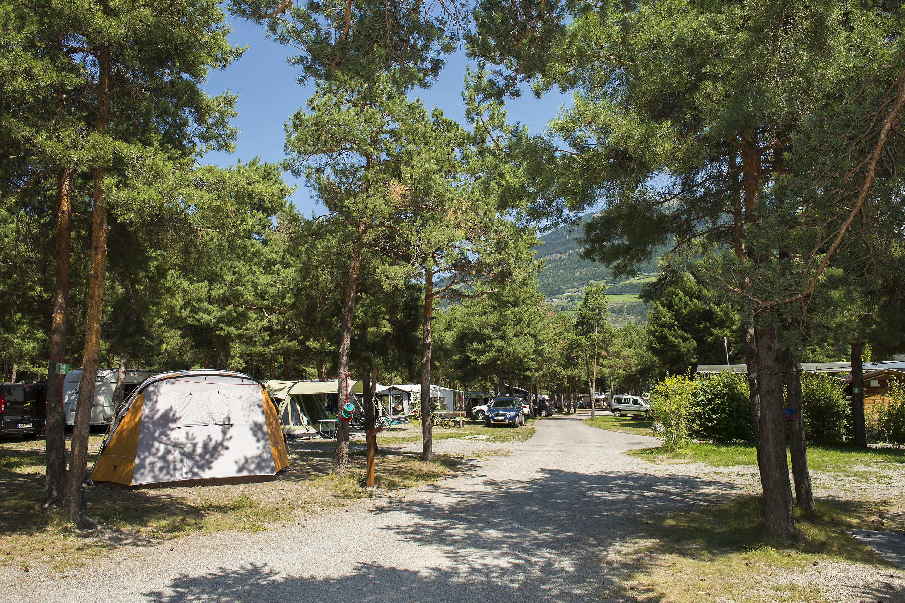 Camping Kiefernhain Camping Kiefernhain