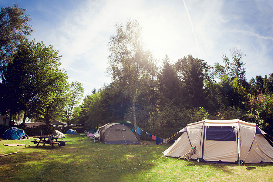 Camping Martbusch Camping Martbusch