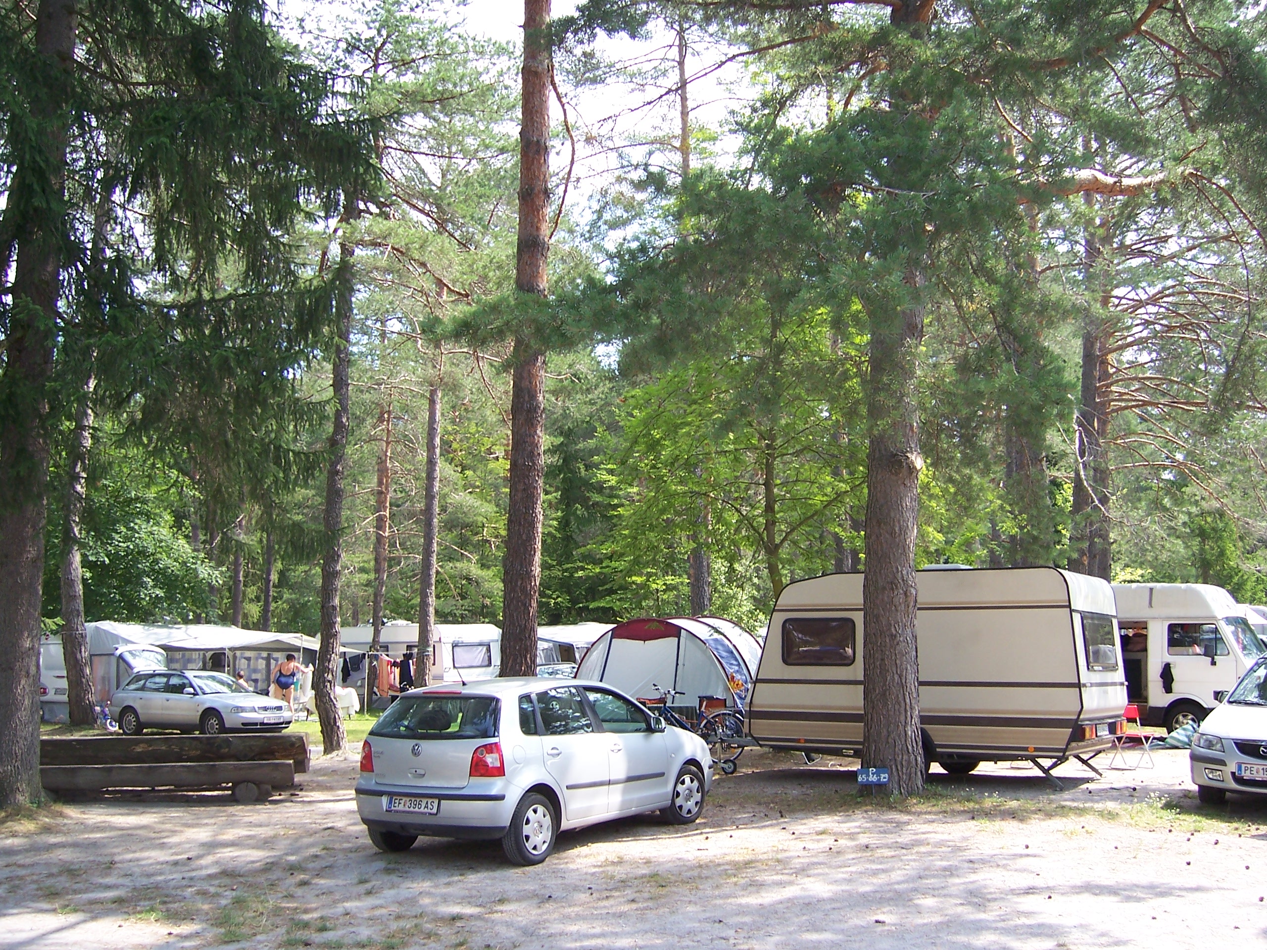 Campsite photo 1