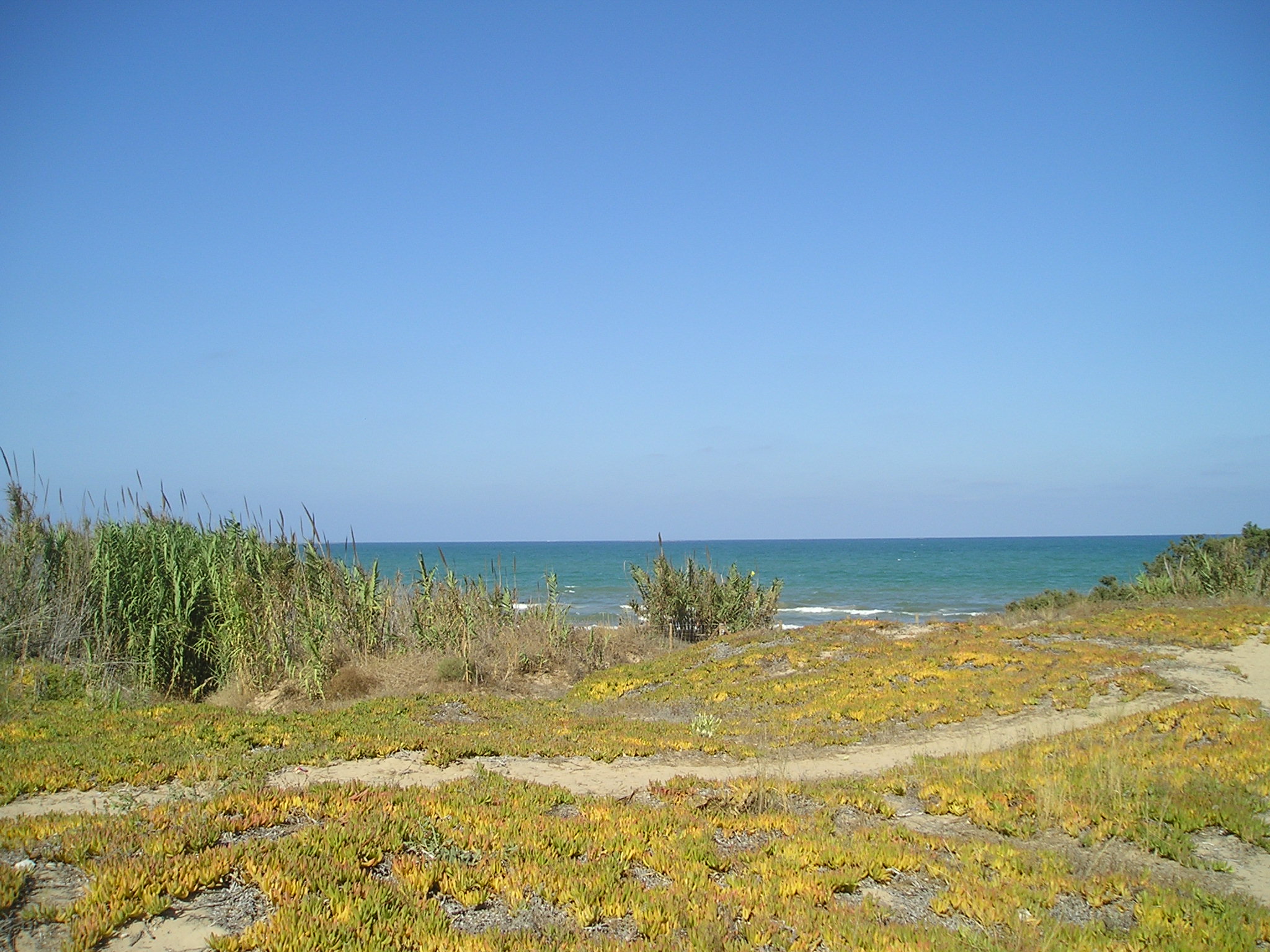 Camping Palm-Mar Camping Palm-Mar