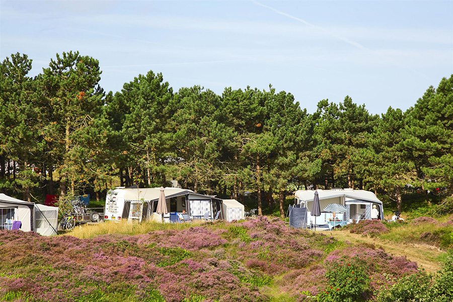 Camping Loodsmansduin Camping Loodsmansduin