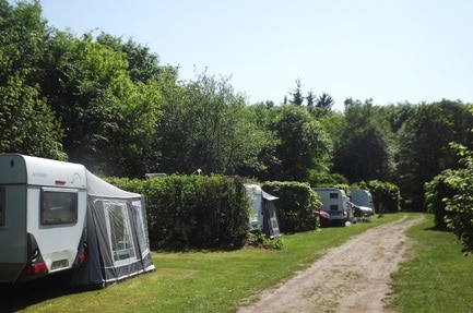 Ringkøbing Camping