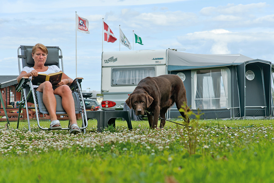 Hygge Strand Camping - Image 1 Hygge Strand Camping - Image 1