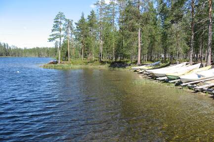 Camping Kylmäluoma