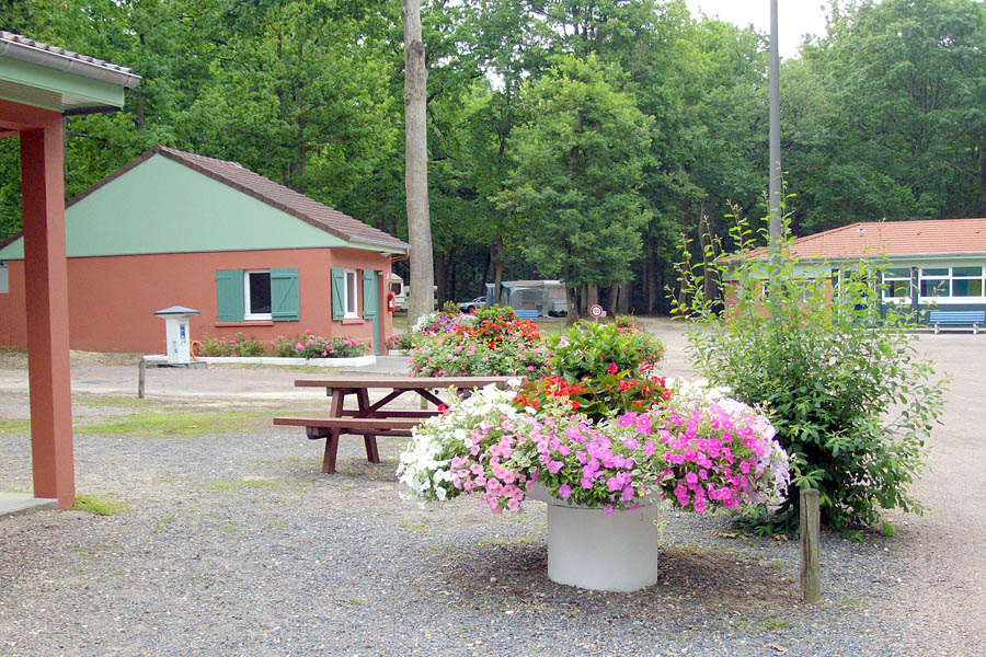 Camping De la Forêt Camping De la Forêt