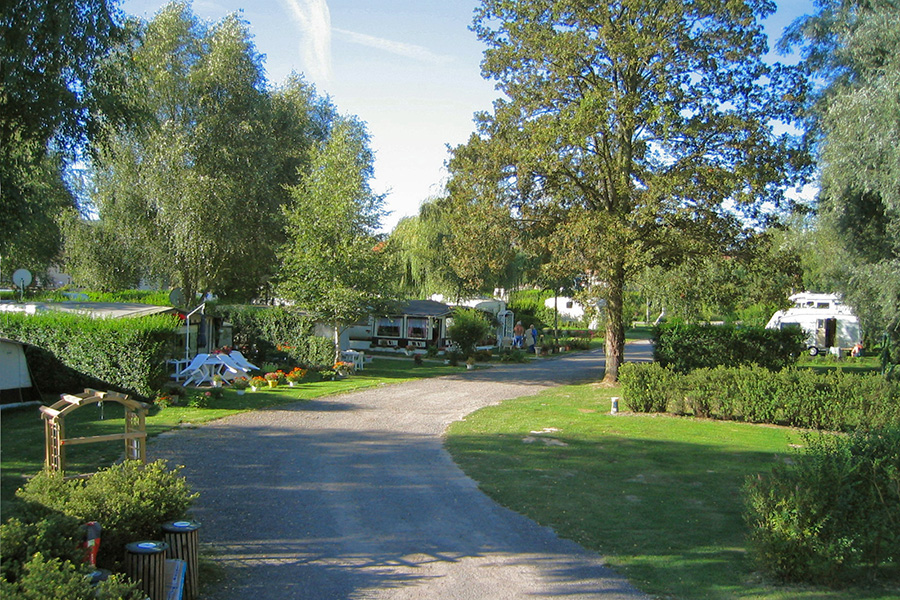 Camping du Vivier aux Carpes Camping du Vivier aux Carpes