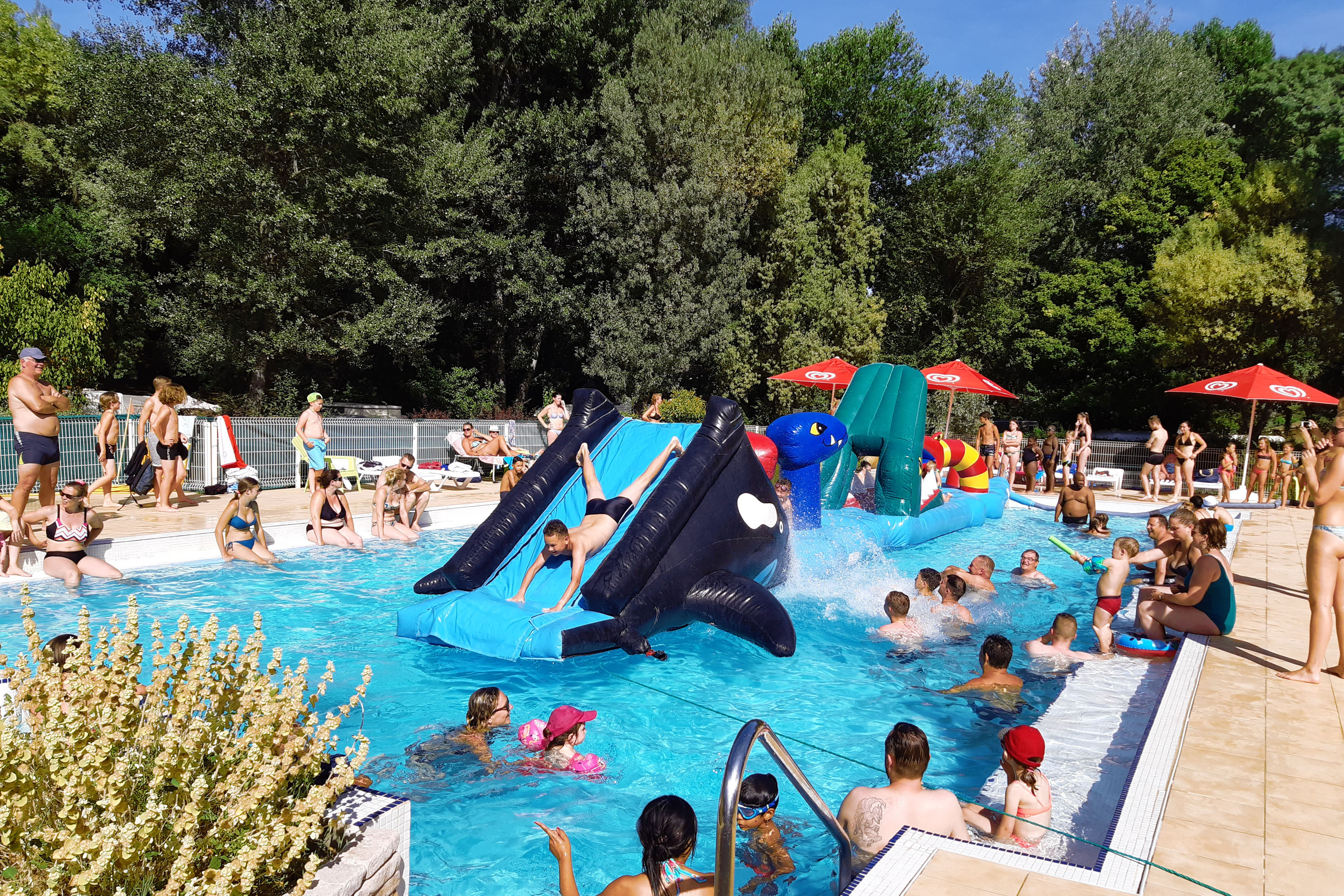 Camping Paradis Domaine de Gaujac Camping Paradis Domaine de Gaujac