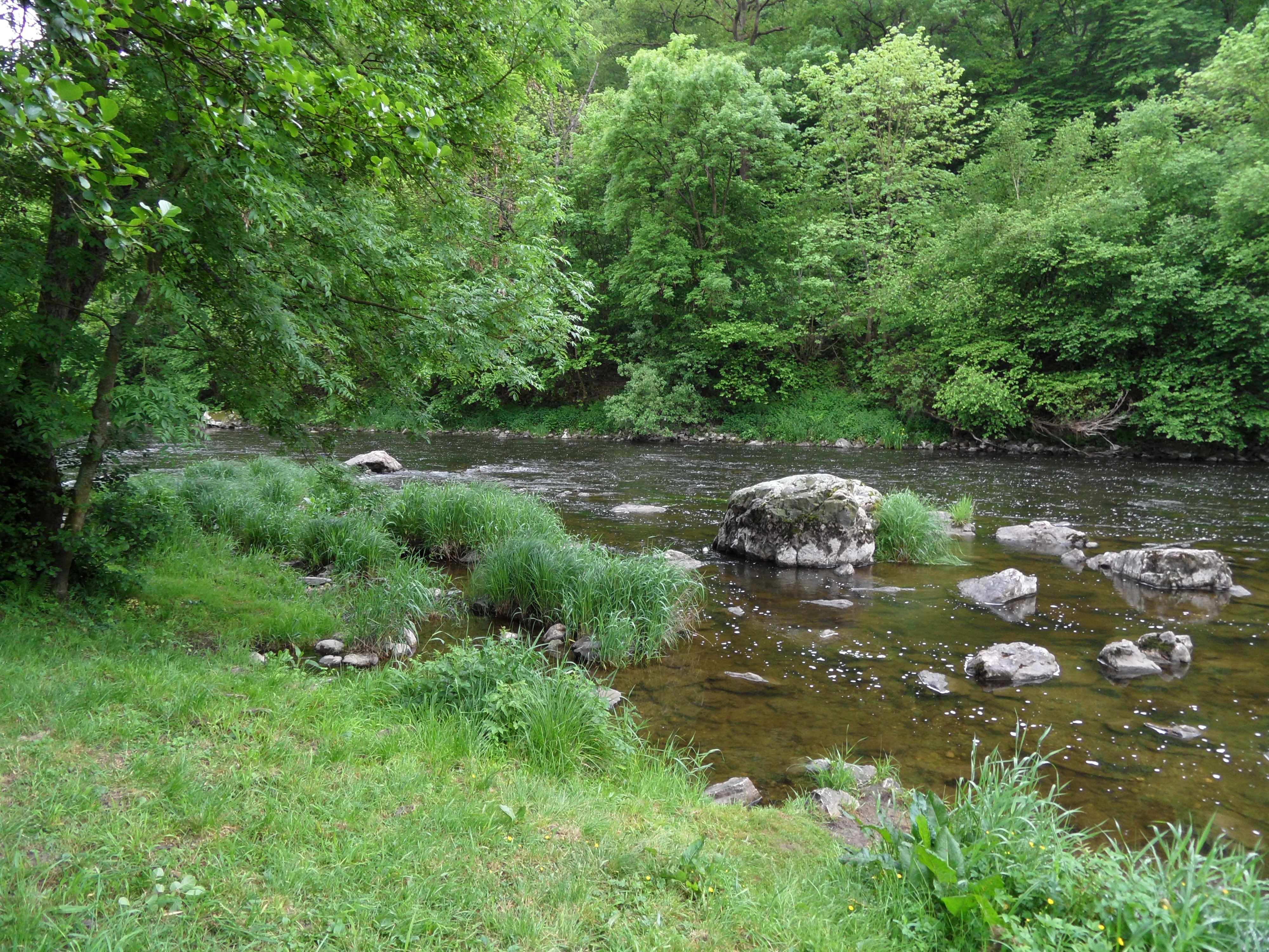 Camping des Rapides de Phade Camping des Rapides de Phade
