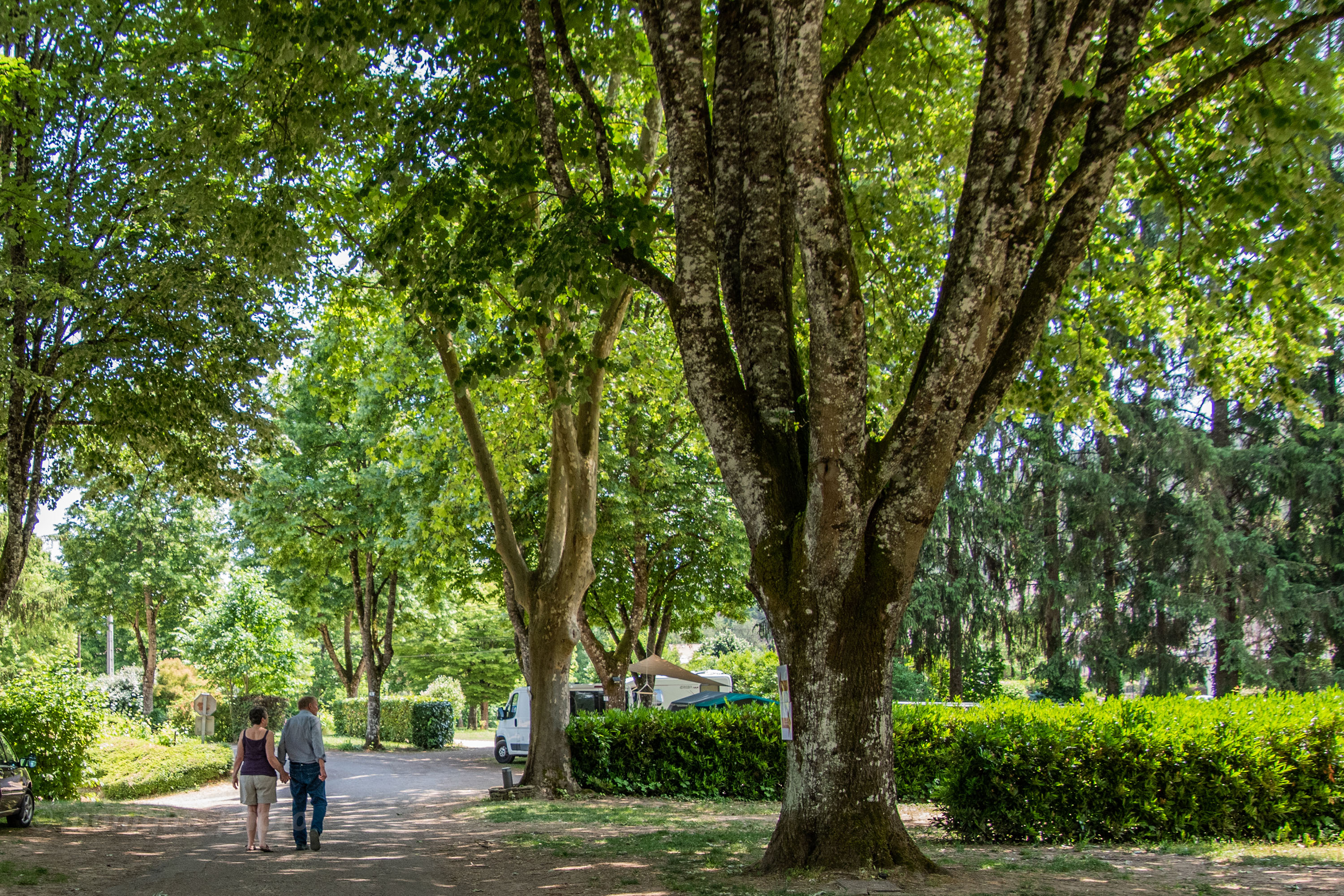 Camping Les Premières Vignes Onlycamp - Image 1