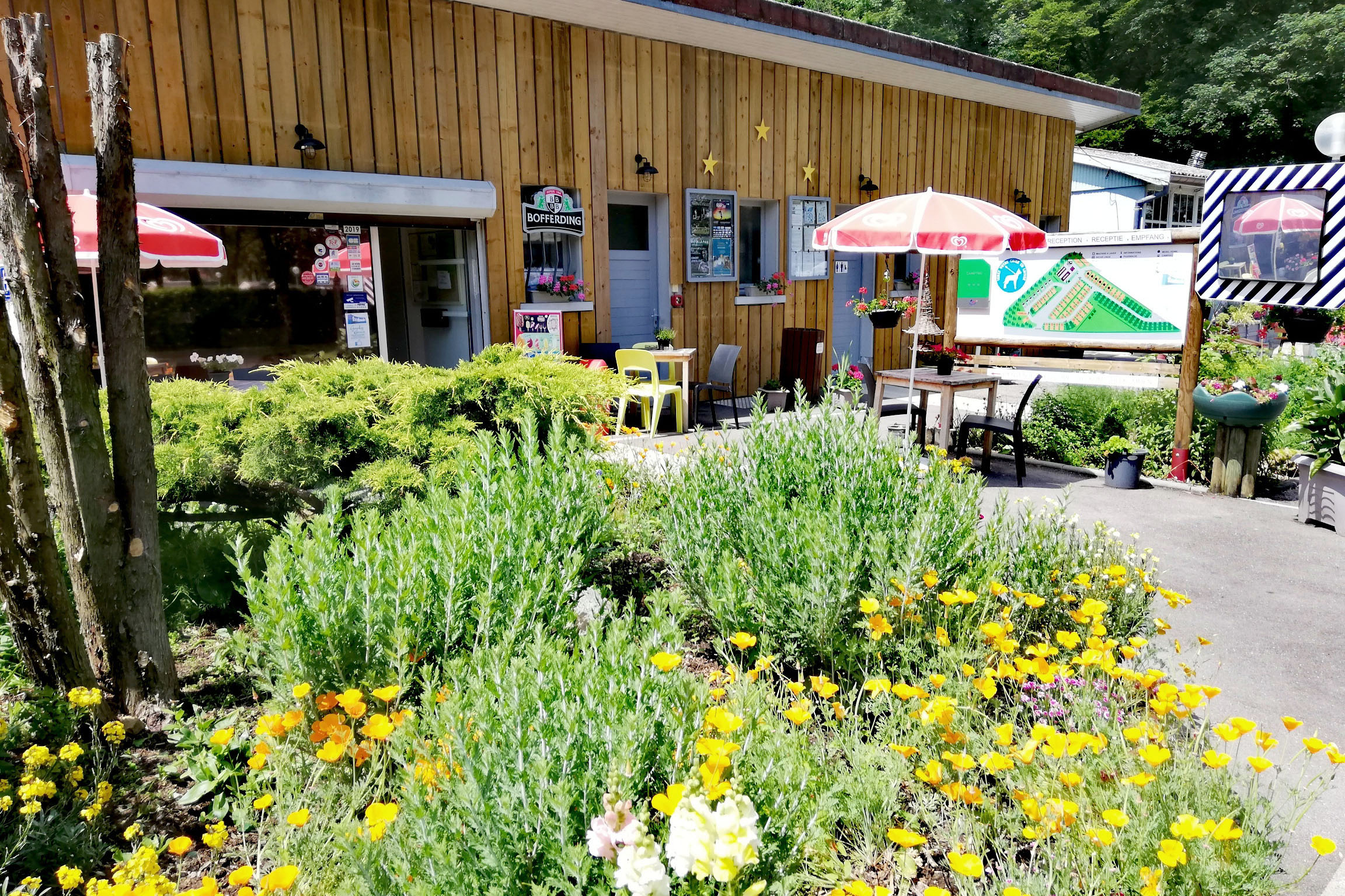 Camping de Contrexéville - Image 1